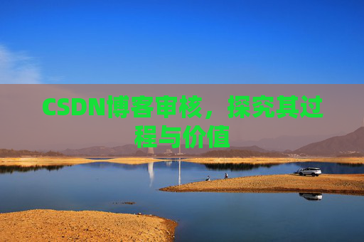 CSDN博客审核,探究其过程与价值